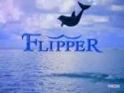 Delfín Flip (Flipper)