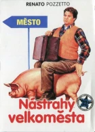 Re: Nástrahy velkoměsta / Ragazzo di campagna (1984)