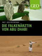Lékařka sokolů z Abú Zabí (Die Falkenärztin von Abu Dhabi)