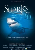 Žraloci 3D (Sharks 3D)