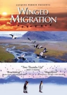 Ptačí svět (Le peuple migrateur)