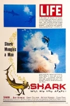 Žralok (Shark!)