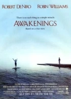 Čas probuzení (Awakenings)