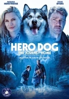 Dobrodružství v divočině: Pes hrdina (Hero Dog: The Journey Home)