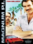 Magnum (Magnum, P.I.)