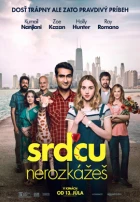 Pěkně blbě (The Big Sick)