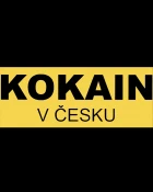 Kokain v Česku