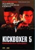 Kickboxer 5: Kickboxerovo vykoupení (Kickboxer 5: The Redemption)
