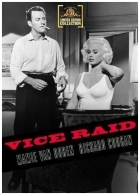 Vice Raid