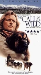 Volání divočiny (The Call of the Wild: Dog of the Yukon)
