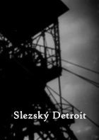 Slezský Detroit