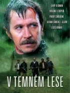 V temném lese (Bosque de sombras)