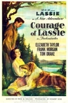 Odvážná Lassie (Courage of Lassie)