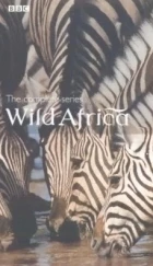 Divoká Afrika (Wild Africa)