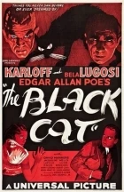 Černá kočka (The Black Cat)