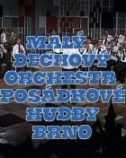 Malá posádková hudba (Malý dechový orchestr Posádkové hudby Brno)
