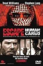 Nebezpečný kontrakt (Escape: Human Cargo)