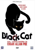 Černá kočka (Il Gatto nero)