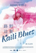 Kaili blues (Lu Bian Ye Can)