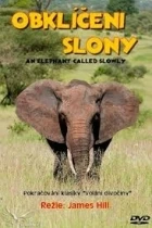 Obklíčeni slony (An Elephant Called Slowly)