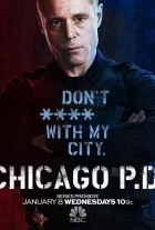 Policie Chicago (Chicago P.D.)