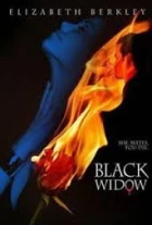 Černá vdova (Black Widow)