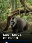Ztracení vládci Bioka (Unter Afrikas Affen - Das Abenteuer)