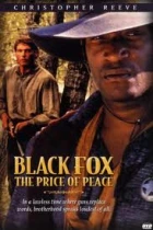Černý lišák: Cena za mír (Black Fox: The Price of Peace)
