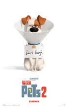 Tajný život mazlíčků 2 (The Secret Life of Pets 2)