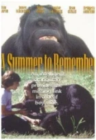 Nezapomenutelné léto (A Summer to Remember)