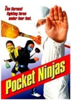 Pocket Ninjas