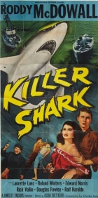 Killer Shark