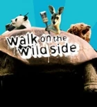 Na kus řeči se zvířaty (Walk on the Wild Side)