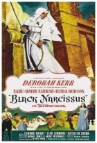 Černý narcis (Black Narcissus)