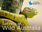 Tajemství divoké Austrálie (Secrets of Wild Australia)