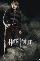 Harry Potter a Ohnivý pohár (Harry Potter and the Goblet of Fire)