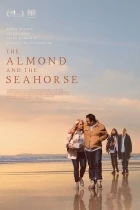 Mandle a mořský koník (The Almond and the Seahorse)