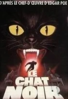 Černá kočka (Il Gatto nero)