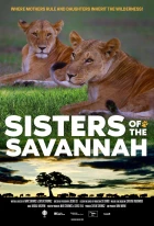 Sestry ze savany (Sisters of the Savannah)