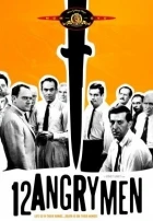 Dvanáct rozhněvaných mužů (12 Angry Men)