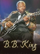 B.B.King/The Blues Sounds (The Jazz Channel presents B.B.King)
