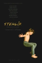 Stehlík (The Goldfinch)
