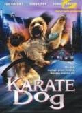 Karate Dog (The Karate Dog)