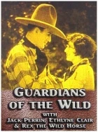 Guardians of the Wild