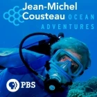Jean-Michel Cousteau: Podmořské dobrodružství (Jean Michel Cousteau: Ocean Adventures)