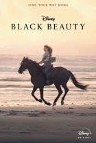 Černá kráska (Black Beauty)