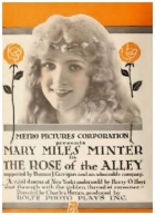 Rose of the Alley