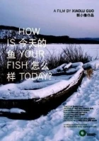 Co dělají ryby? (Jin tian de yu zen me yang?)