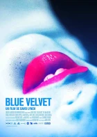 Modrý samet (Blue Velvet)