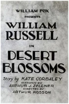 Desert Blossoms